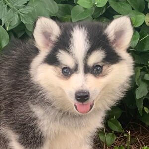 TUCKER